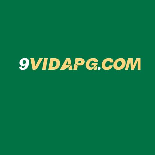 Logo da 9VIDAPG